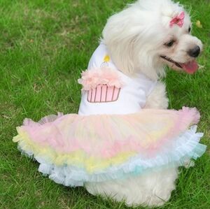 Pet Puppy Birthday Cake Tutu